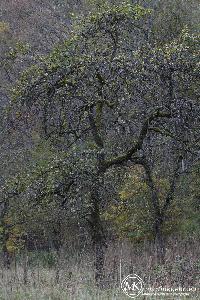 martinkuehn_eu_0128_6057.jpg