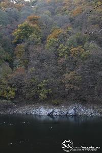 martinkuehn_eu_0129_6078.jpg