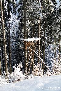 martinkuehn_eu_0155_7928.jpg