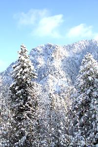 martinkuehn_eu_0156_7932hdr.jpg