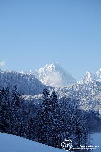 martinkuehn_eu_0161_8128.jpg
