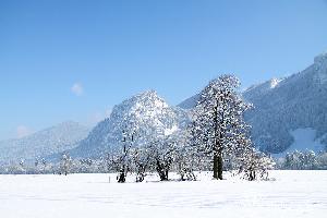 martinkuehn_eu_0164_8191.jpg