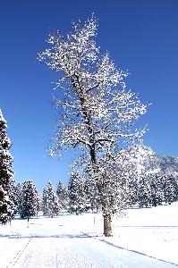 martinkuehn_eu_0165_8223hdr.jpg
