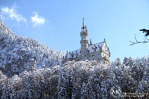 martinkuehn_eu_0167_8264dhr.jpg