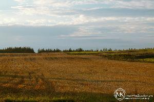 martinkuehn_eu_0343_k017_6545.jpg