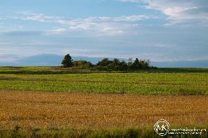 martinkuehn_eu_0344_k018_6547.jpg