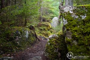 martinkuehn_eu_0353_k035_6677.jpg