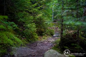 martinkuehn_eu_0356_k038_6696.jpg