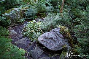 martinkuehn_eu_0357_k039_6698.jpg
