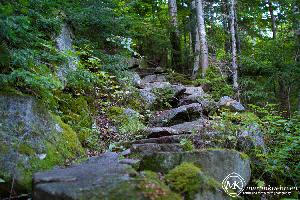 martinkuehn_eu_0358_k042_6707.jpg