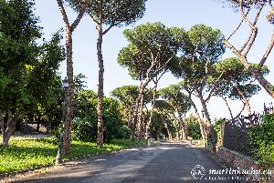 martinkuehn_eu_2602_it23_4334.jpg