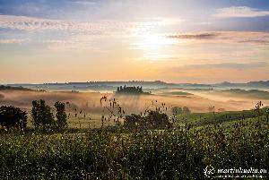 martinkuehn_eu_2646_it23_05191.jpg