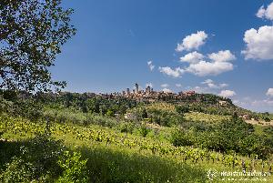 martinkuehn_eu_2671_it23_09650.jpg