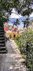 martinkuehn_eu_2692_it23_0001.jpg